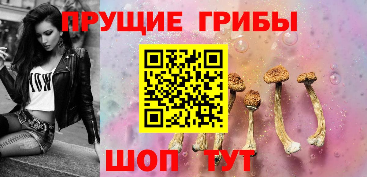 Галлюциногенные грибы прущие грибы  Вход с VPN  Рубцовск  Псилоцибиновые грибы GOLDEN TEACHER 