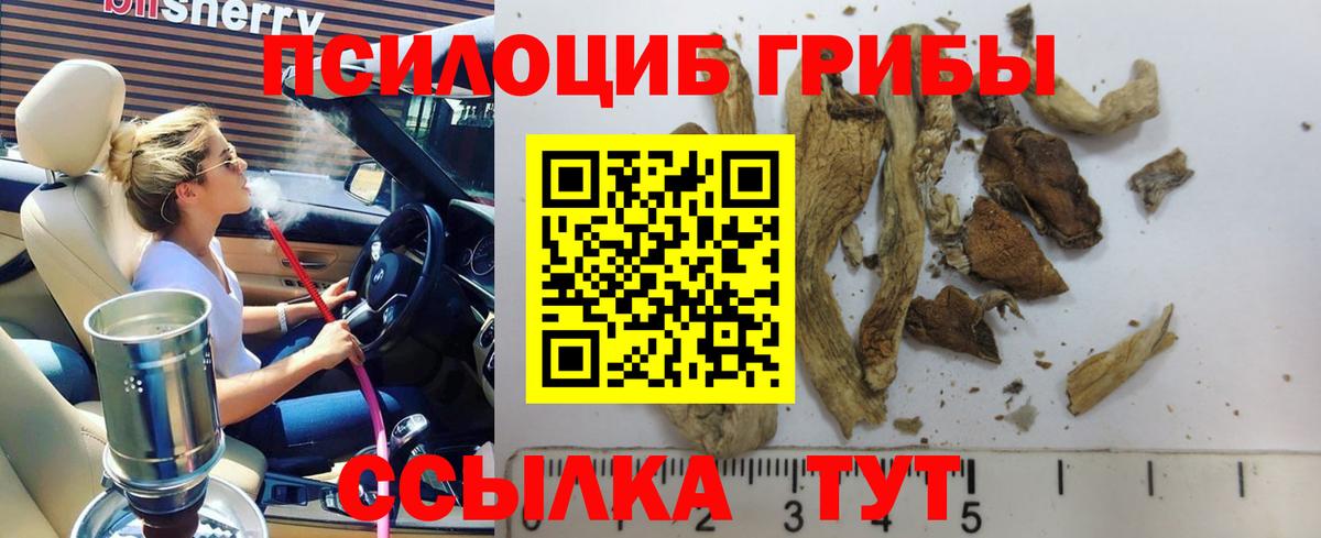 Псилоцибиновые грибы MAGIC MUSHROOMS Рубцовск